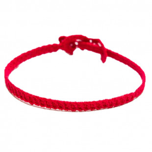 Cruciani per AIL -...