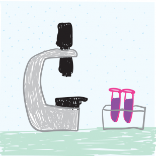 1500 euro per le borse di...